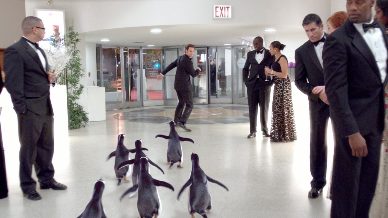 Mr. Poppers Pinguine - Bild 16