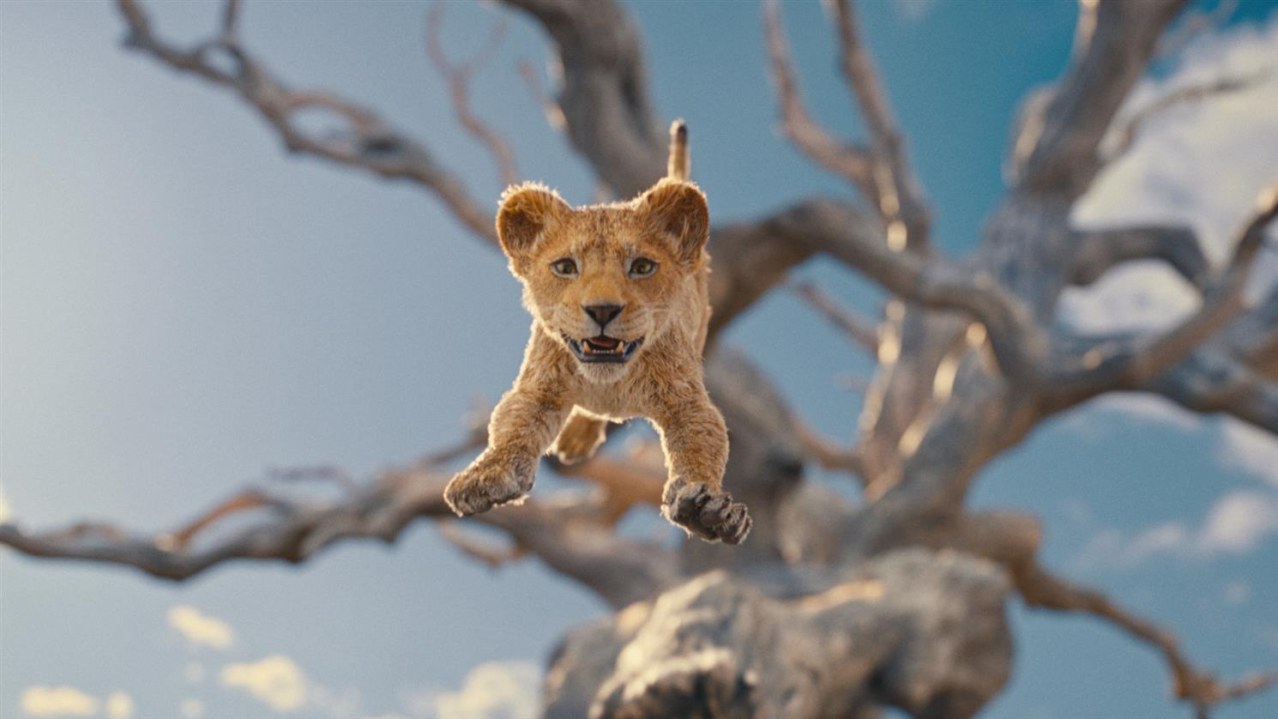 Mufasa: Der König der Löwen - Bild 1