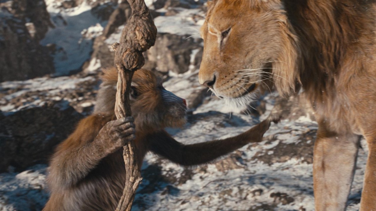 Mufasa: Der König der Löwen - Bild 4