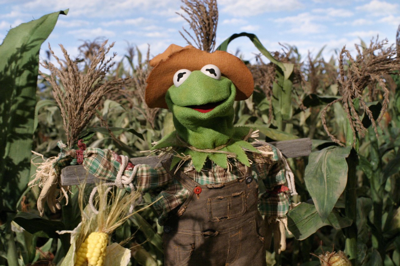 Muppets: Der Zauberer von Oz - Bild 2