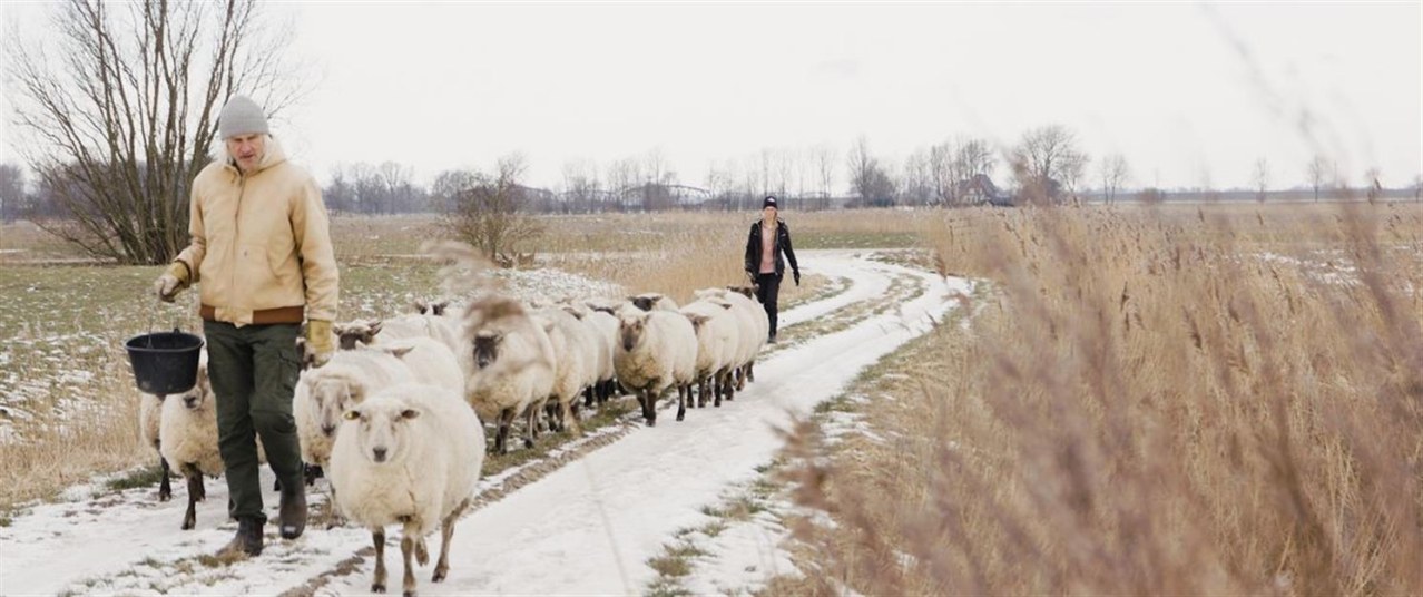 Nordlicht - Der Nordsee Film - Bild 5