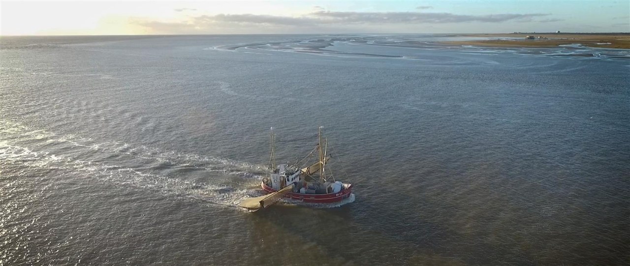 Nordlicht - Der Nordsee Film - Bild 8