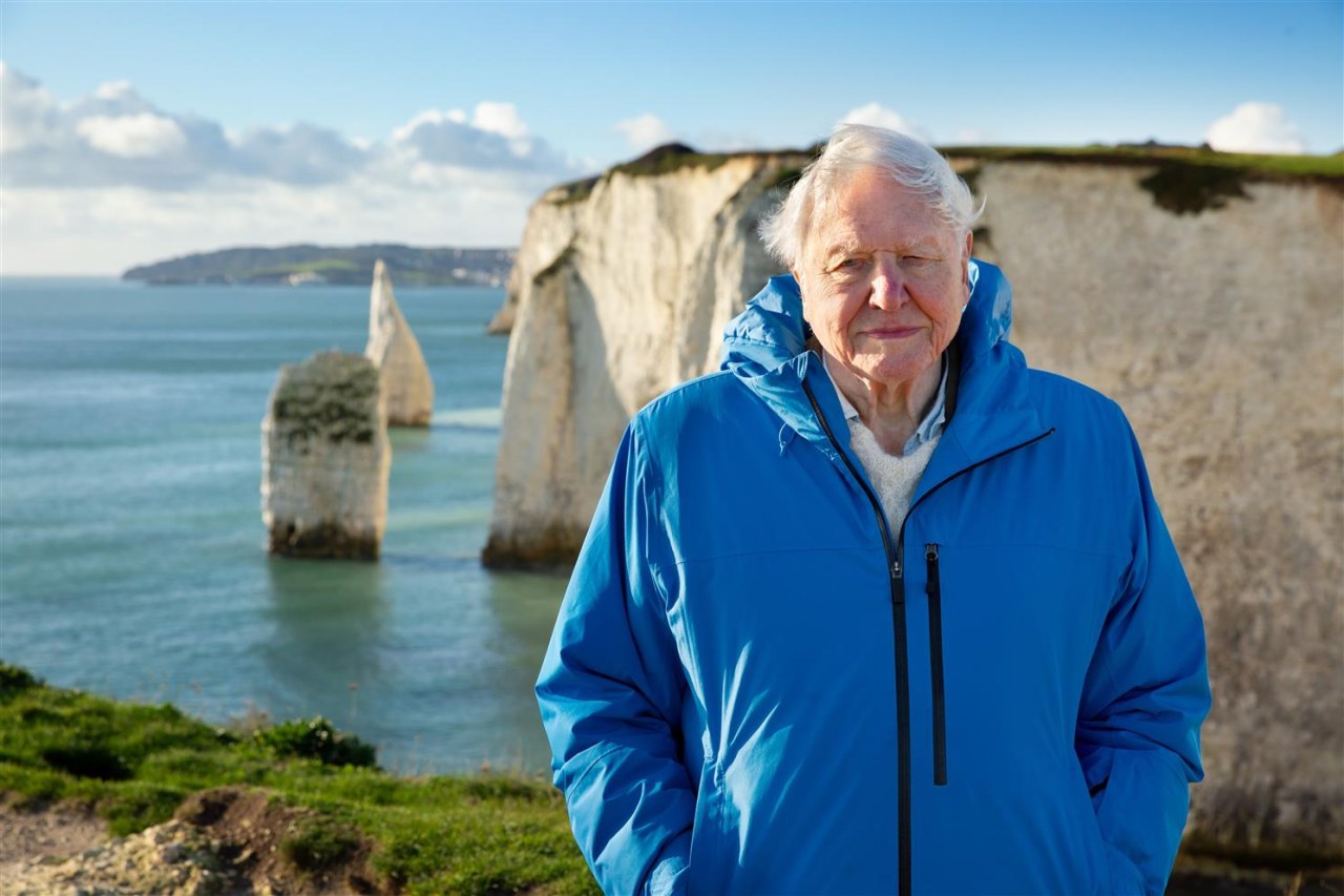 Ozean mit David Attenborough - Bild 1