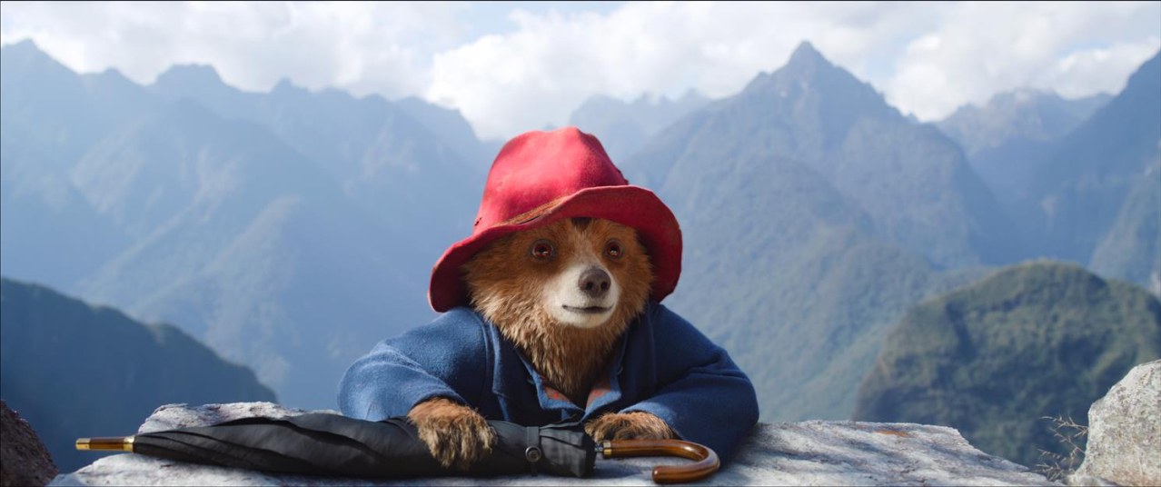 Paddington in Peru - Bild 1
