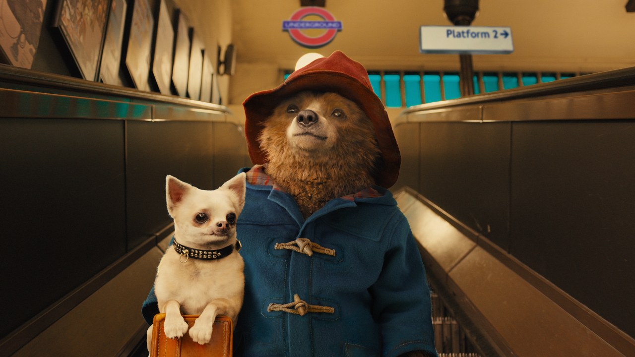 Paddington - Bild 17