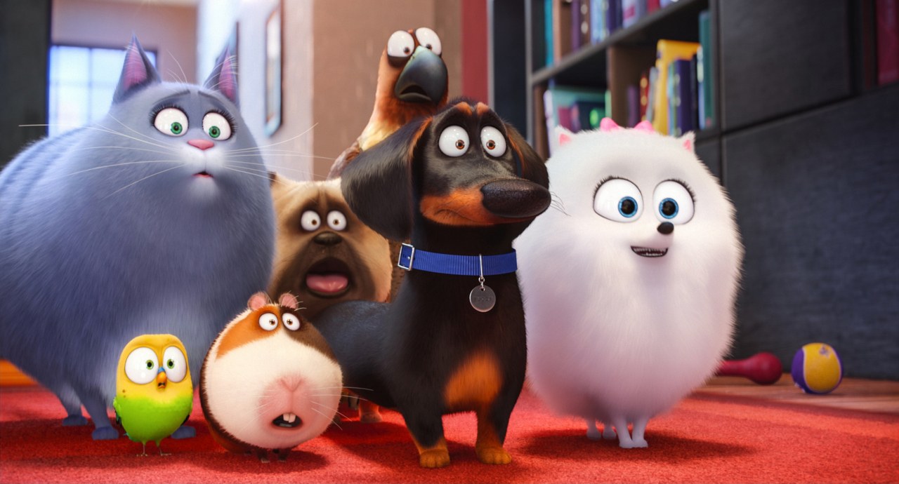 Pets - Bild 4