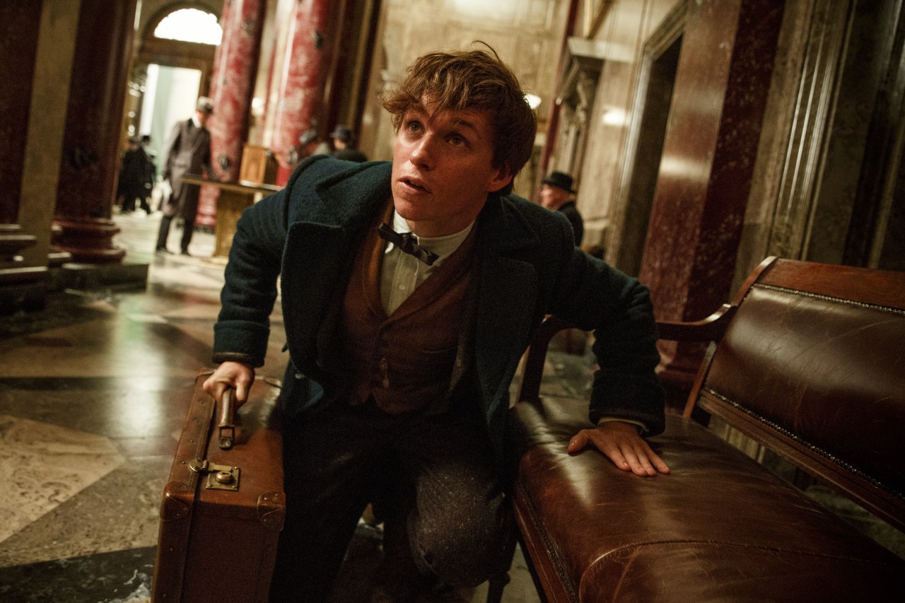 Fantastic Beasts and Where to Find Them - Bild 22