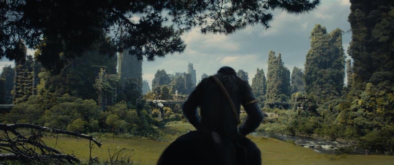 Planet der Affen: New Kingdom - Bild 1