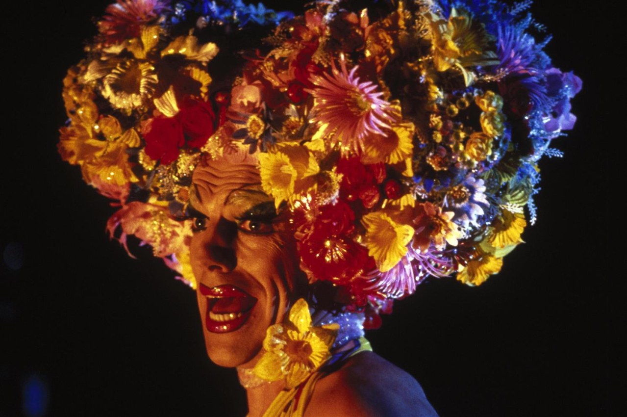 Priscilla, Königin der Wüste - Bild 2