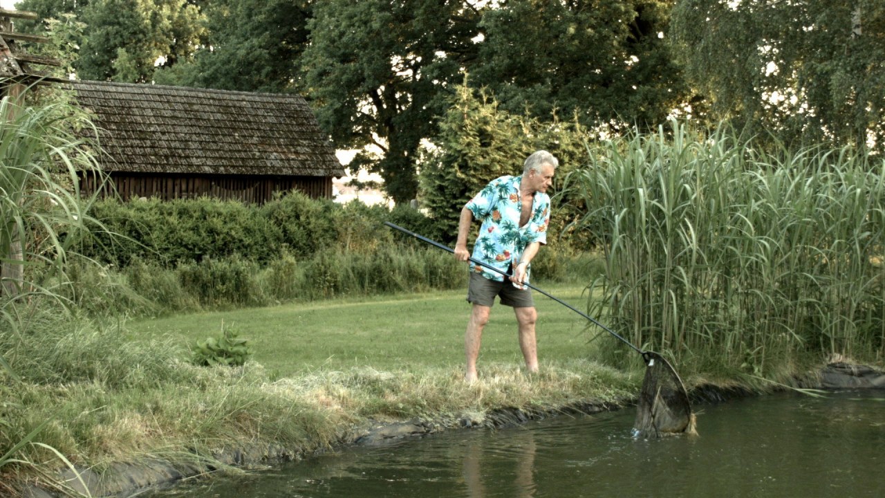 Rudolf Thome - Überall Blumen - Bild 6