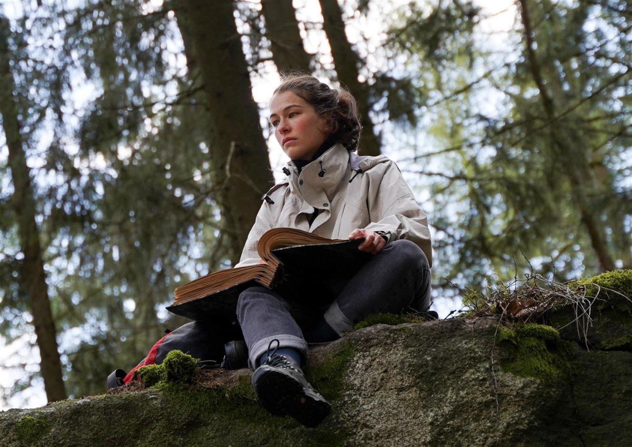 Schweigend steht der Wald - Bild 3