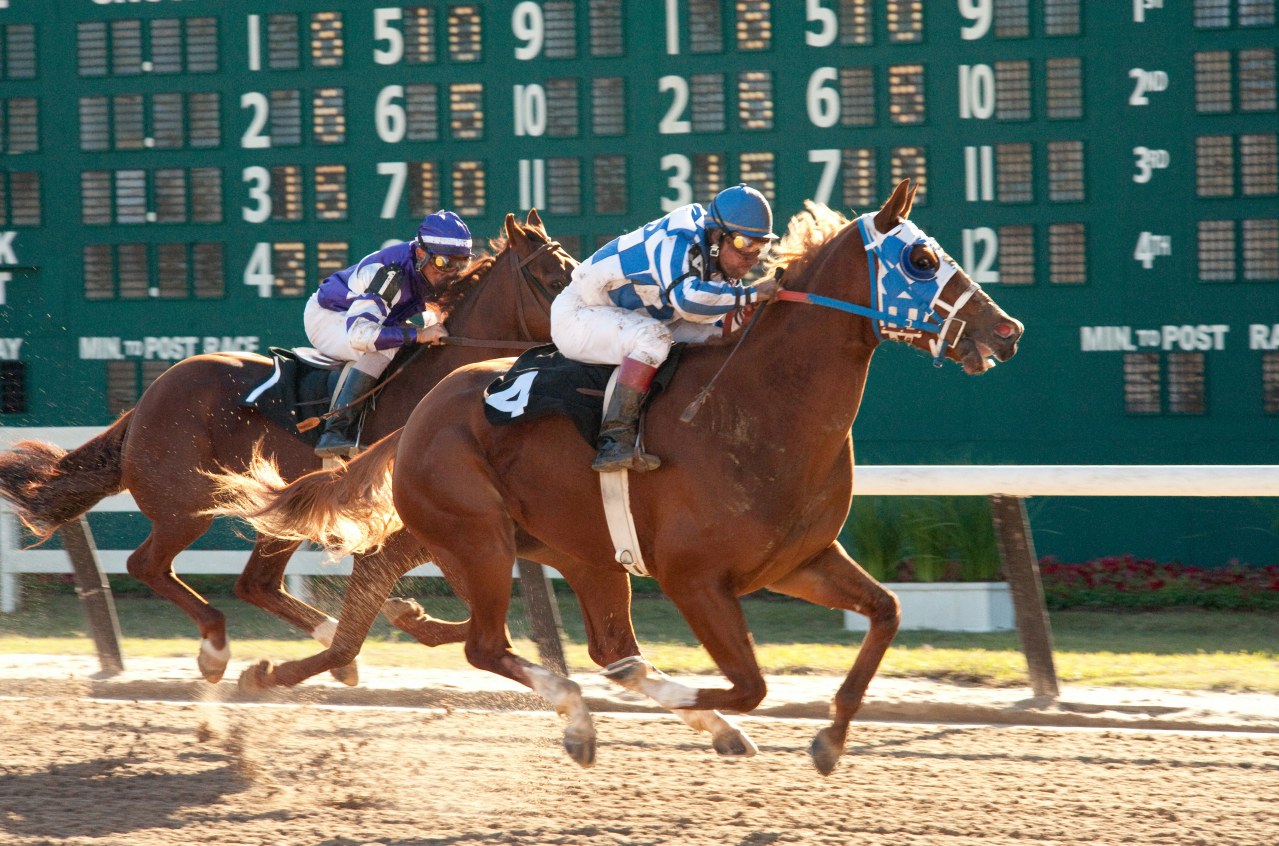 Secretariat - Ein Pferd wird zur Legende - Bild 24