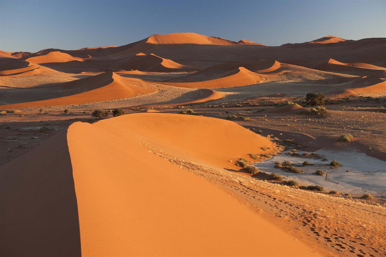 Sehnsucht Afrika - Auf Safari in Tansania, Botswana, Kenia, Namibia und Zimbabwe - Bild 2