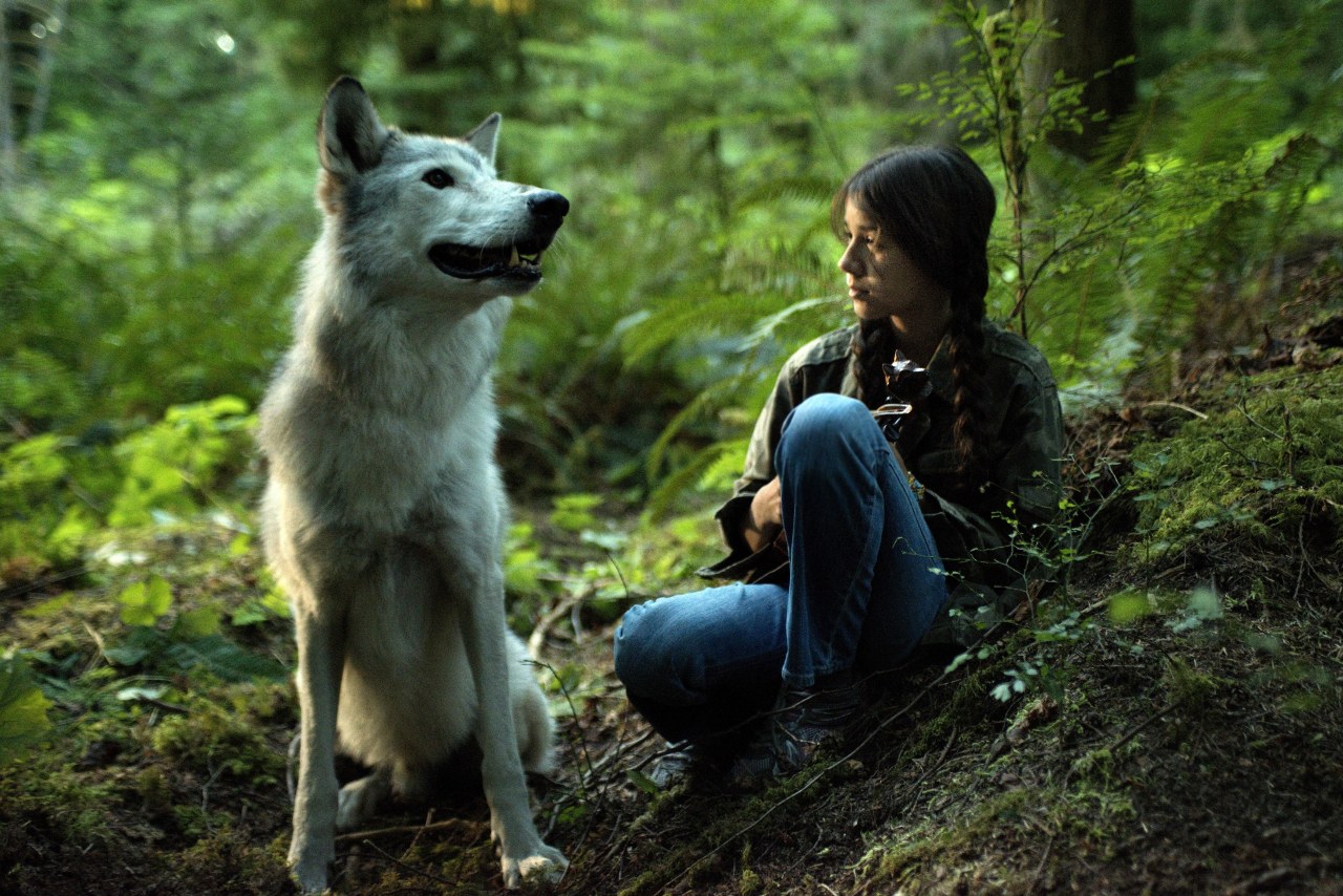 Shana - The Wolf's Music - Bild 5