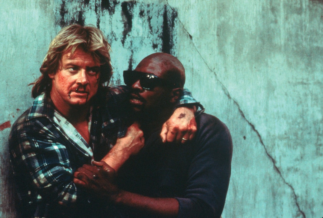 Sie leben! – Best of Cinema - Bild 1
