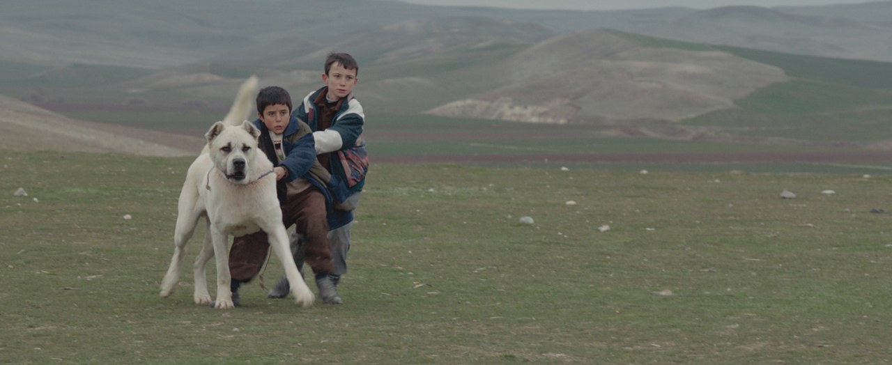 Sivas - Bild 5