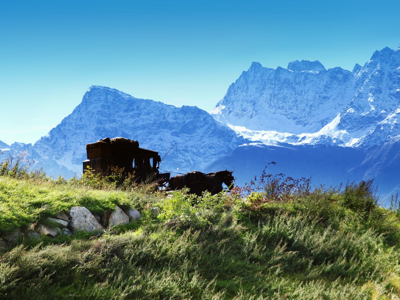 Sommer der Gaukler - Bild 12