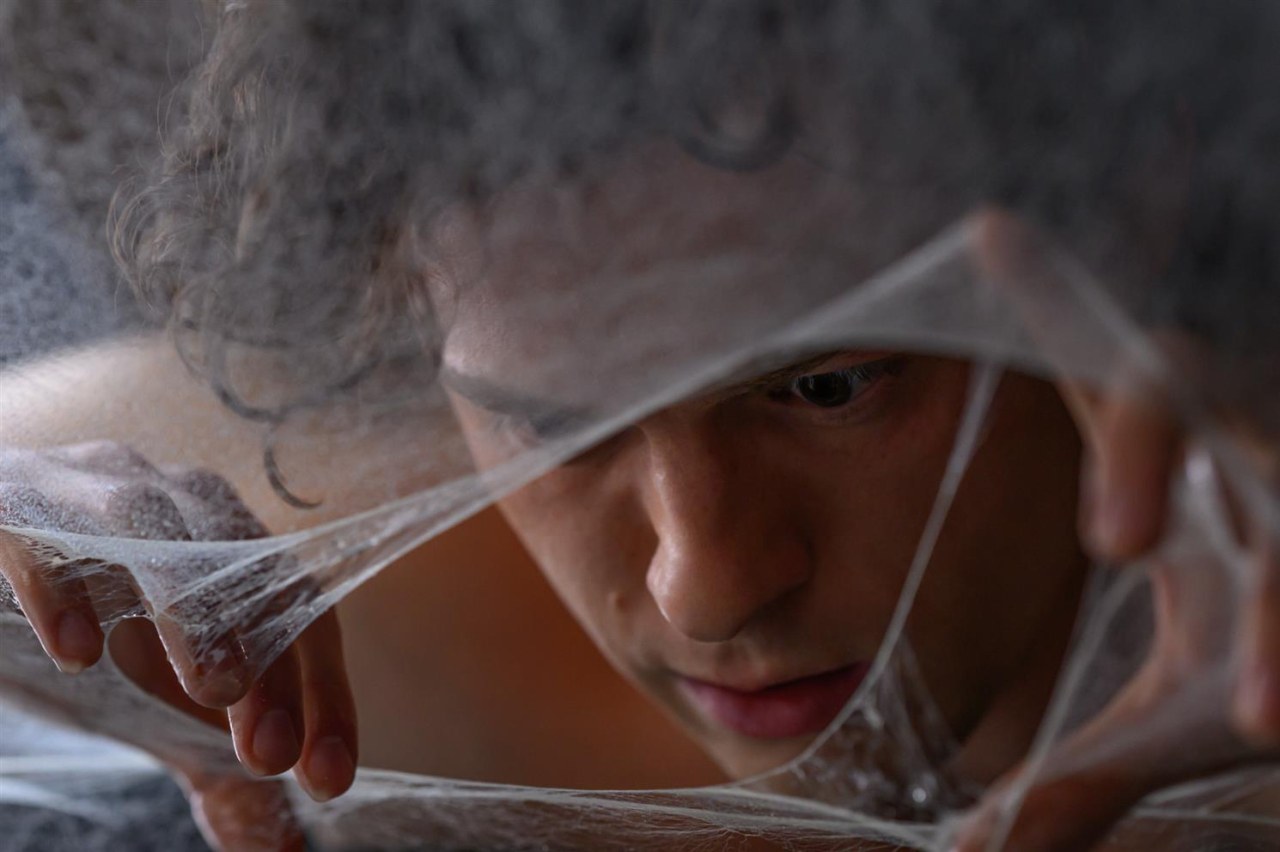 Spider-Man: Brand New Day - Bild 3