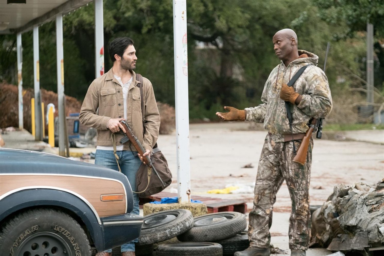 The Domestics - Bild 2