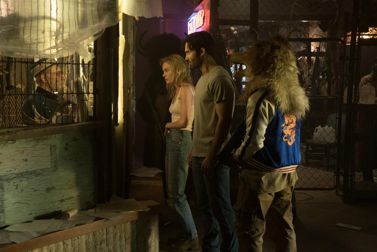 The Domestics - Bild 4