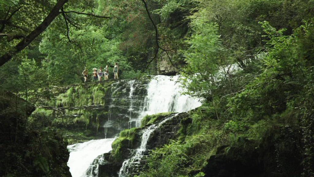 The Hike - Ausflug ins Grauen - Bild 3
