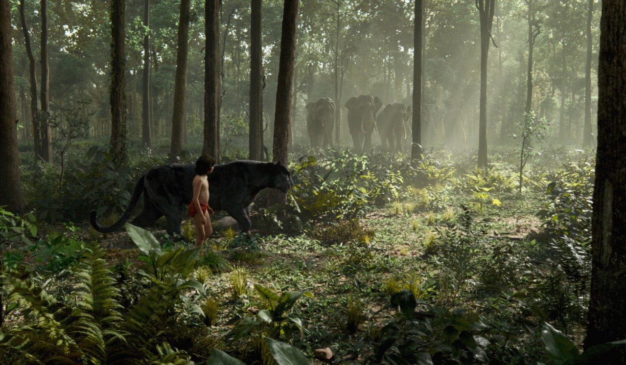 The Jungle Book - Bild 1