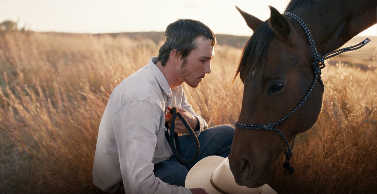 The Rider - Bild 1