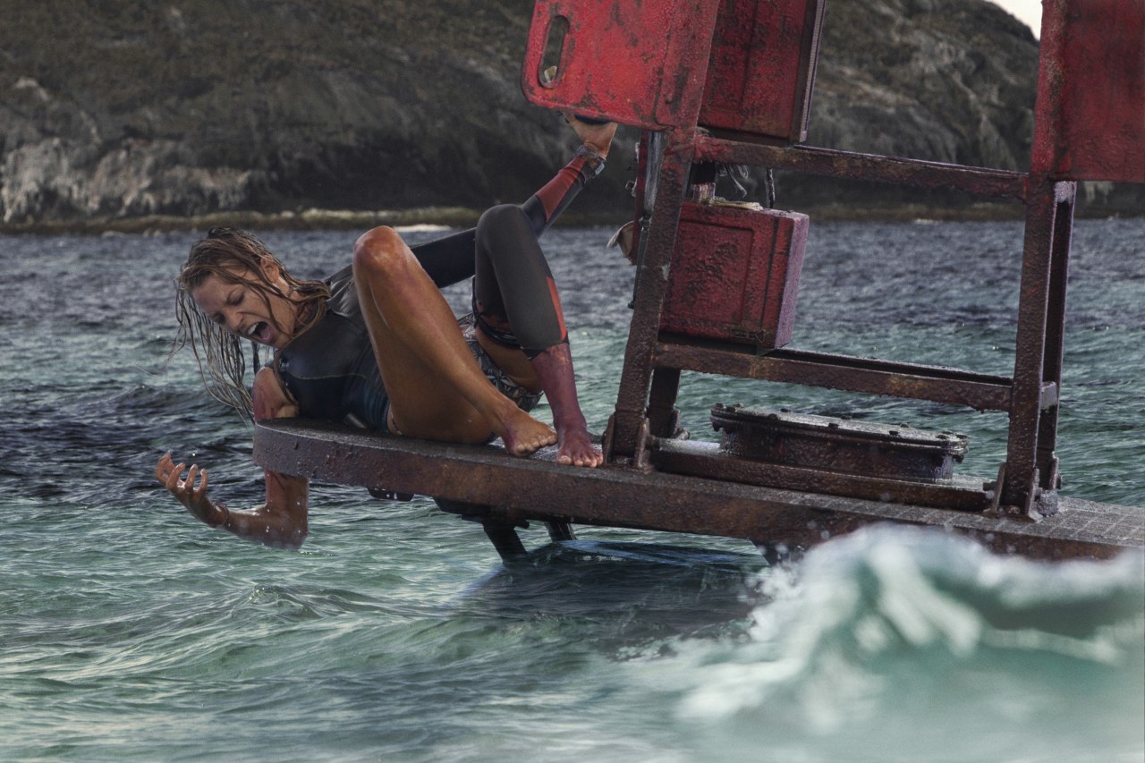 The Shallows - Bild 5