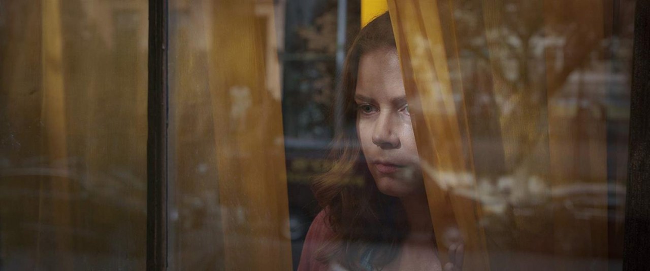 The Woman in the Window - Bild 1