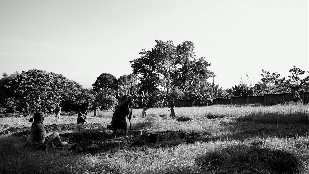 The Woman Who Left - Bild 29