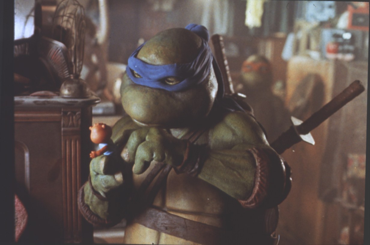 Turtles - Bild 1