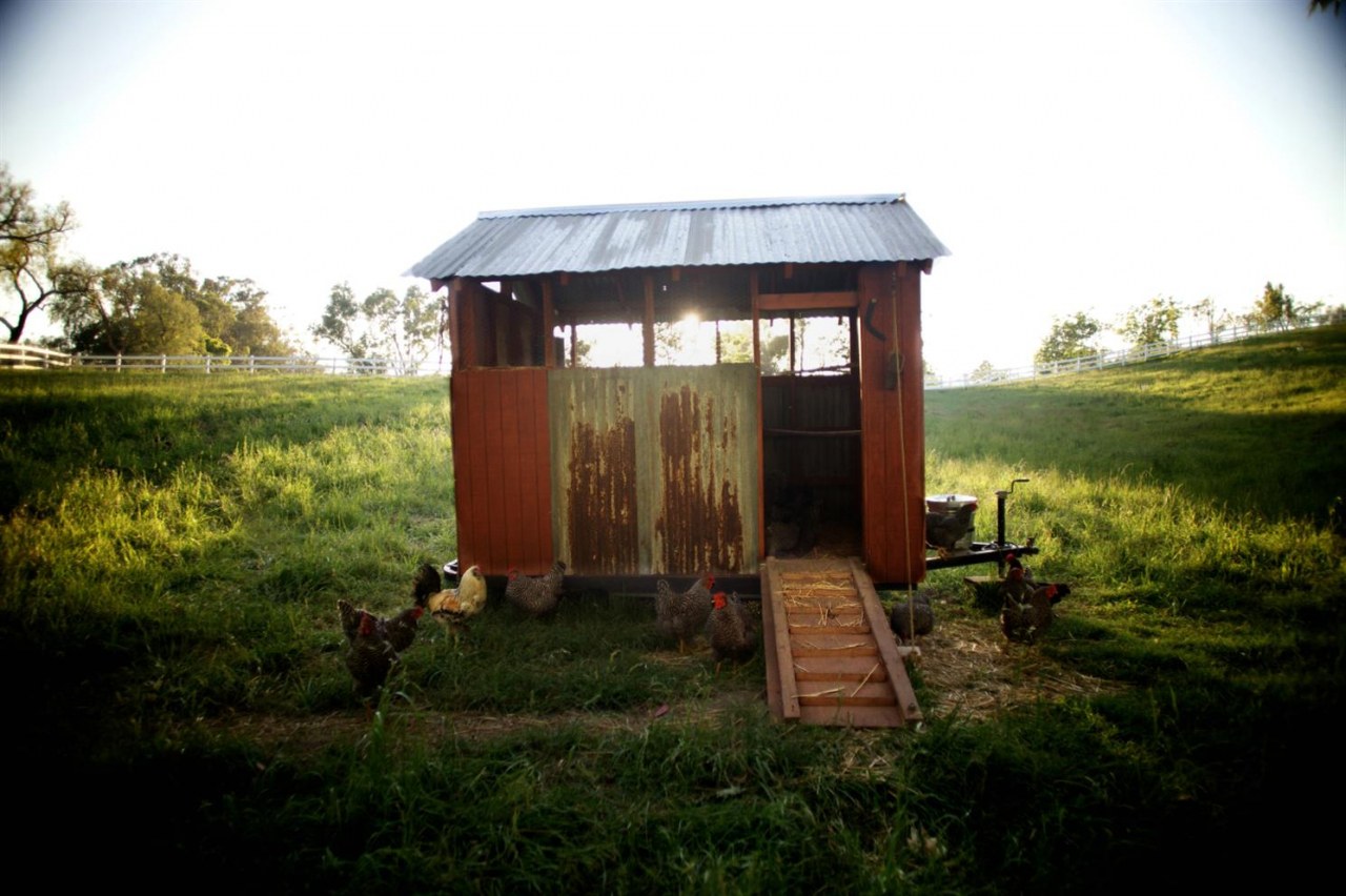 Unsere große kleine Farm - Bild 6