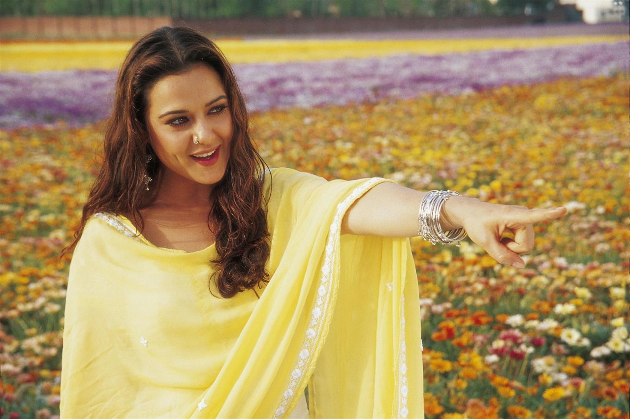 Veer-Zaara - Bild 9