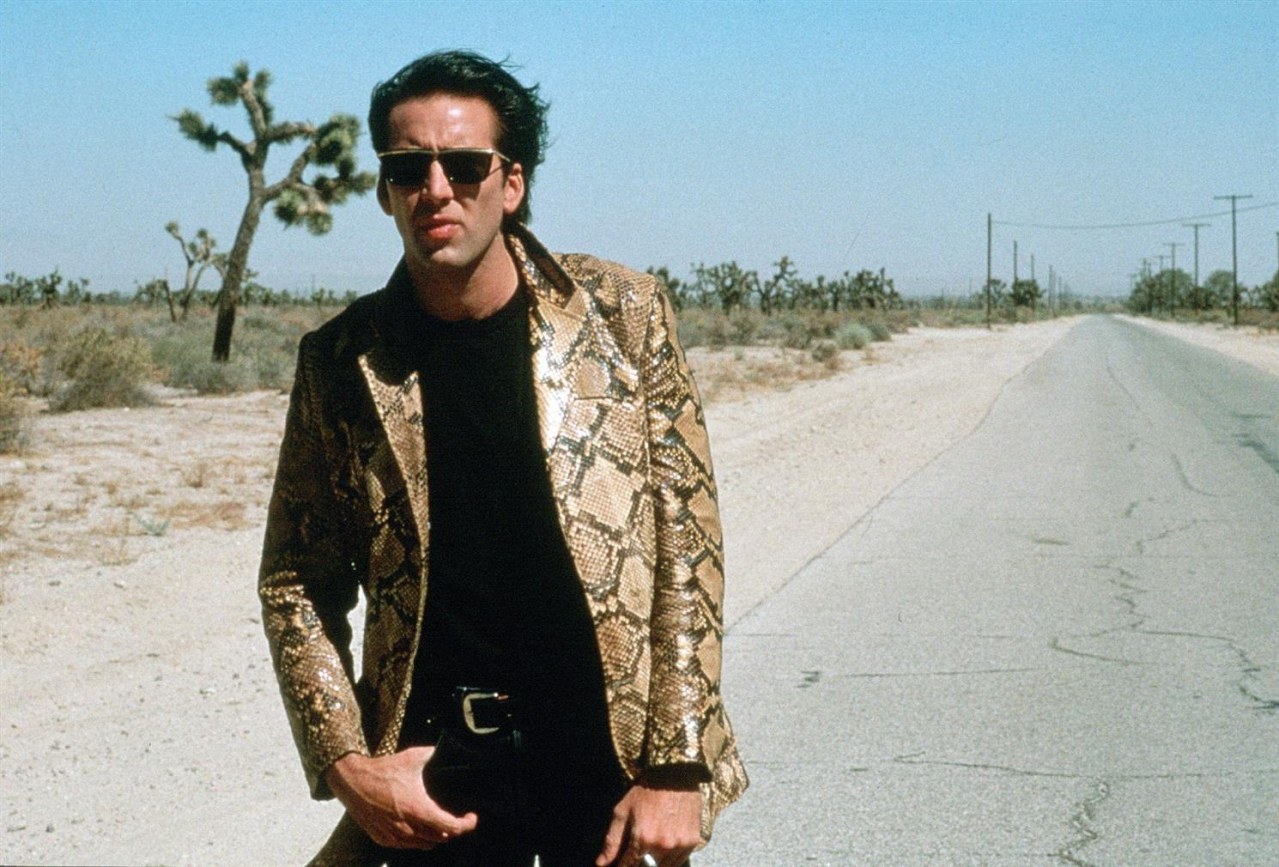 Wild at Heart - Bild 5