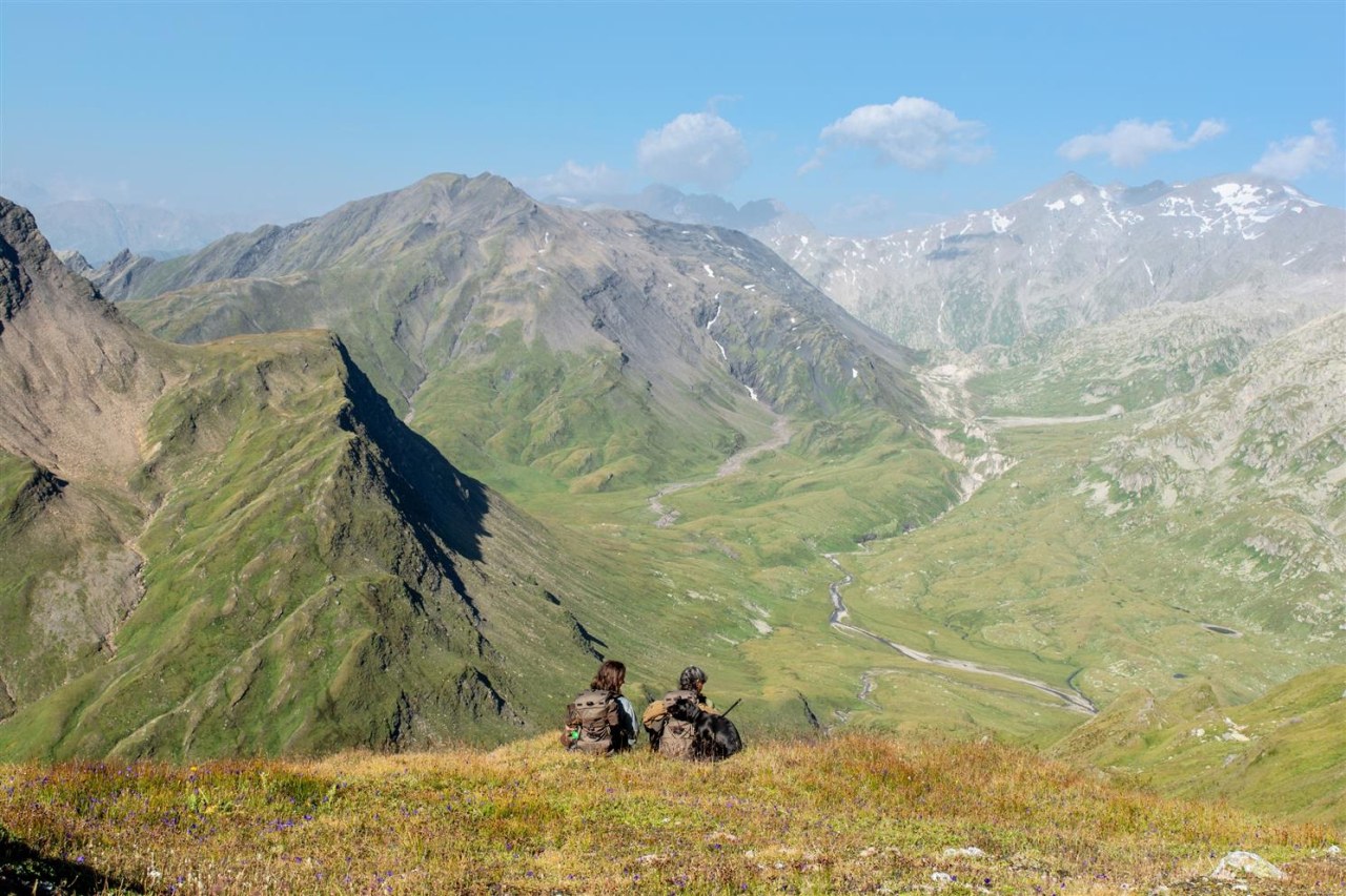 Wild - Jäger und Sammler - Bild 2