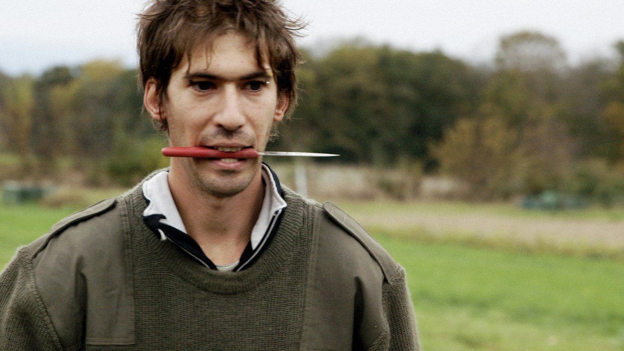 Wild Plants - Bild 3