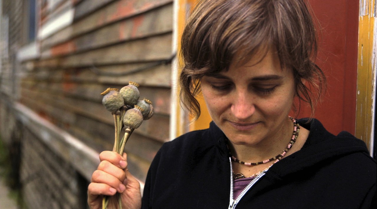 Wild Plants - Bild 5