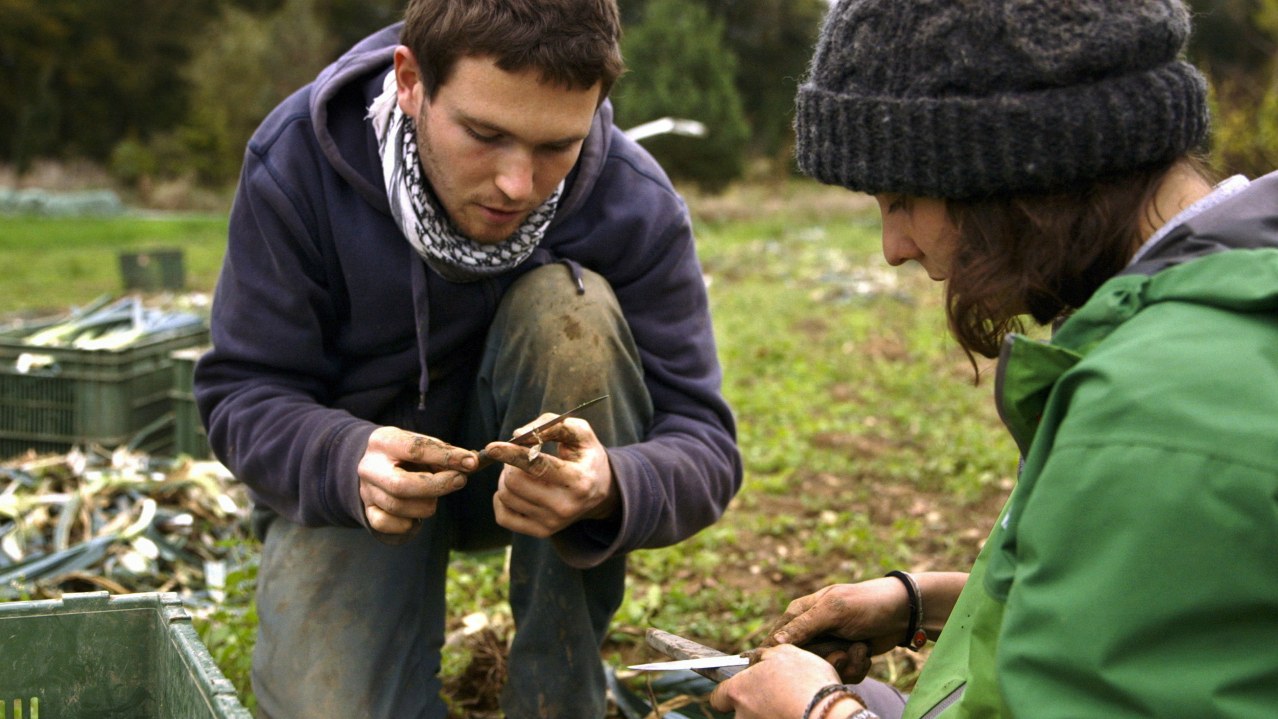 Wild Plants - Bild 7