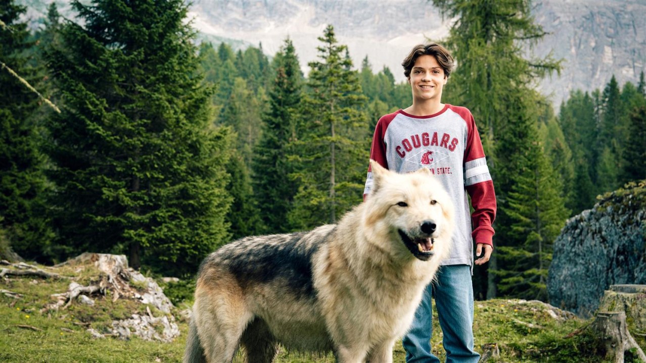 Woodwalkers 2 - Bild 2