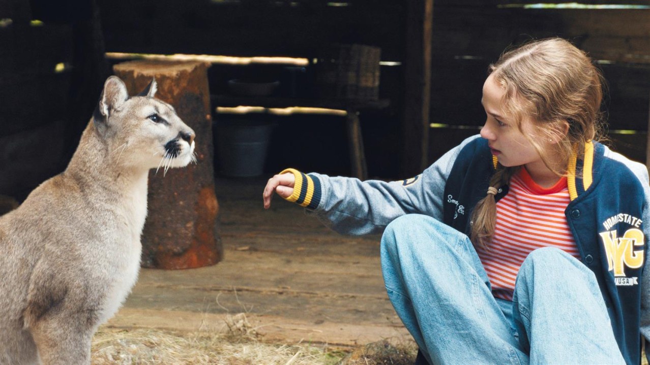 Woodwalkers 2 - Bild 3