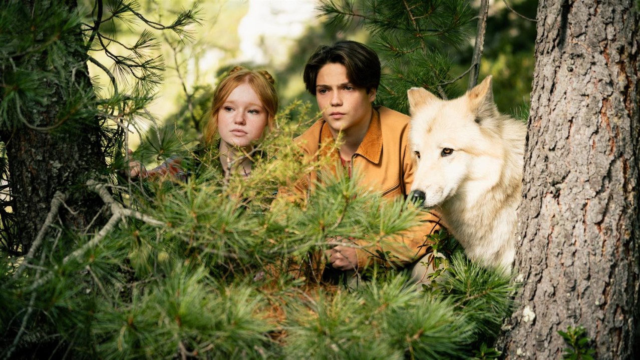 Woodwalkers 2 – Kinotour mit Starbesuch - Bild 1