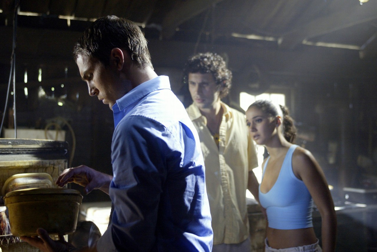 Wrong Turn - Bild 11