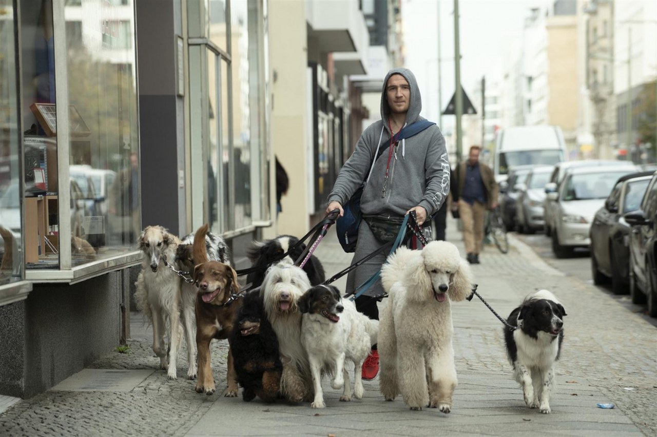 Wuff - Bild 4