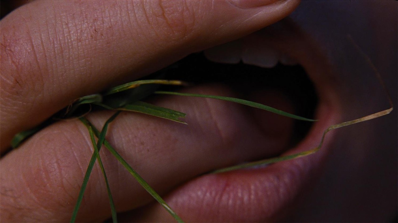 Wuthering Heights - Sturmhöhe - Bild 1