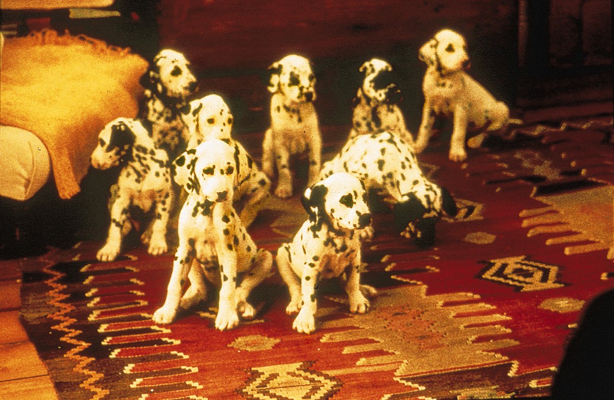 101 Dalmatiner Cinestar