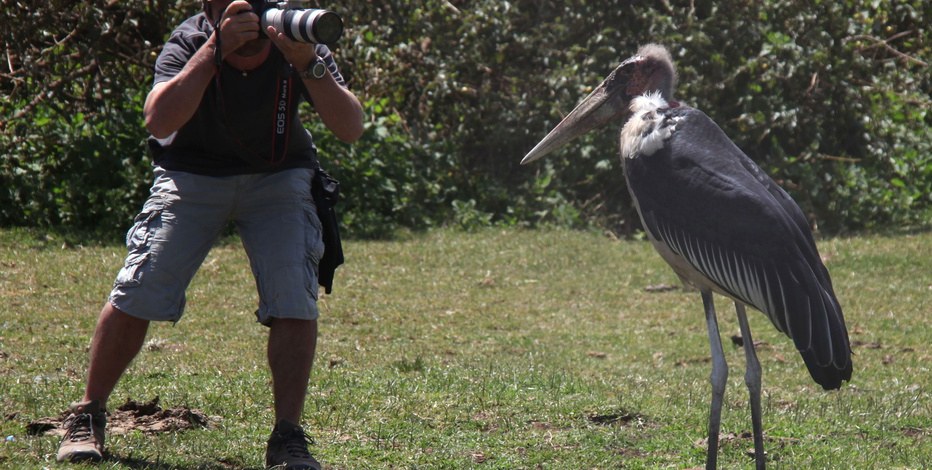 African Safari 3D - Bild 7