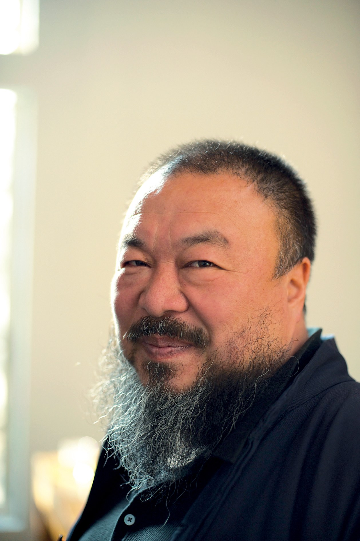 Ai Weiwei - Never Sorry - Bild 8