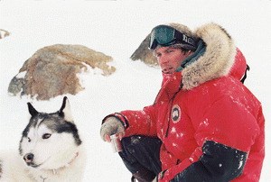Antarctica - Gefangen im Eis - Bild 1