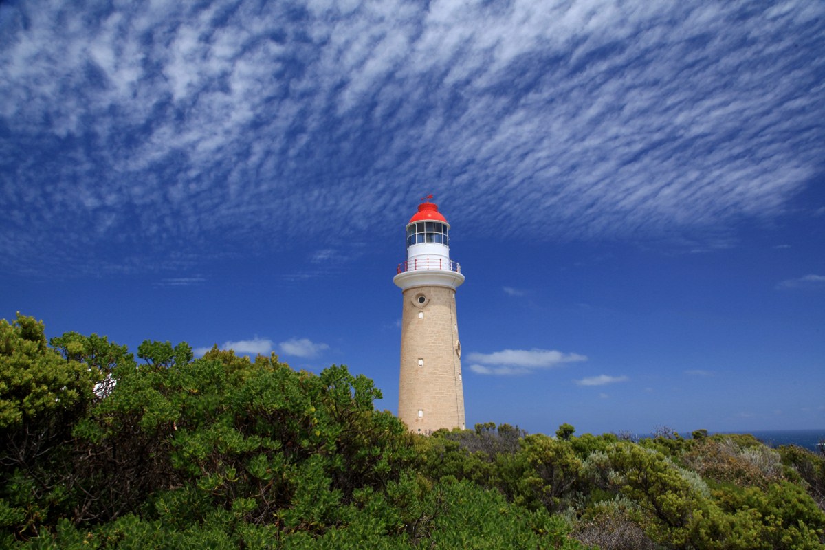 Australien in 100 Tagen - Bild 4