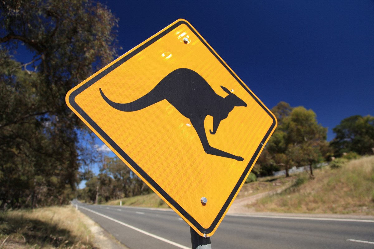Australien in 100 Tagen - Bild 6